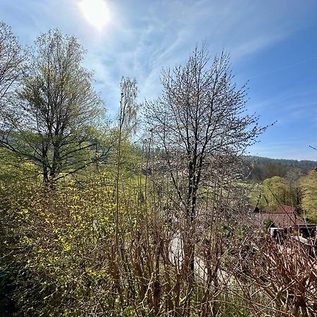 Natur Pur - Waldurlaub Im Tiny House Ronshausen Luaran gambar