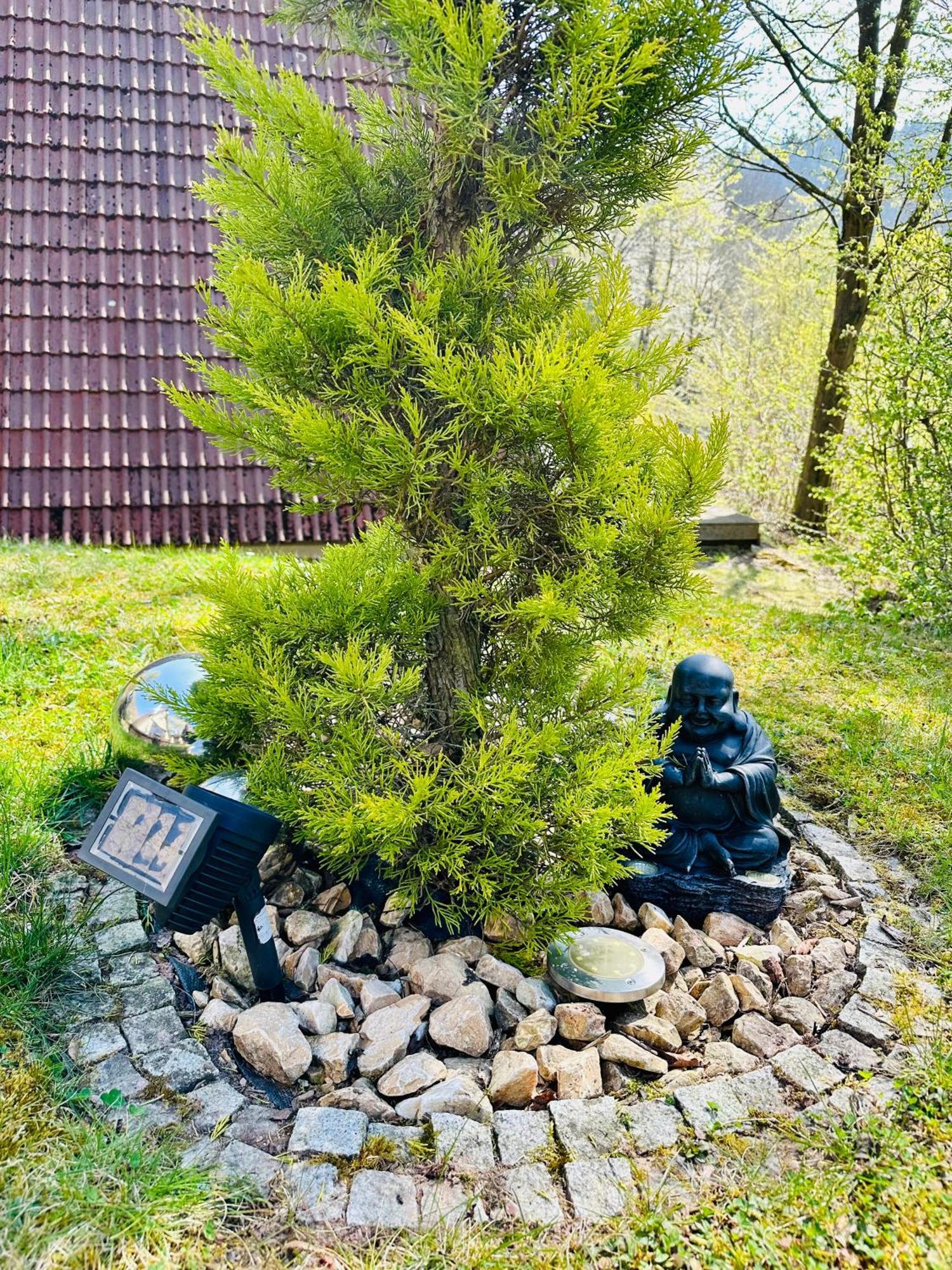 Natur Pur - Waldurlaub Im Tiny House Ronshausen Luaran gambar